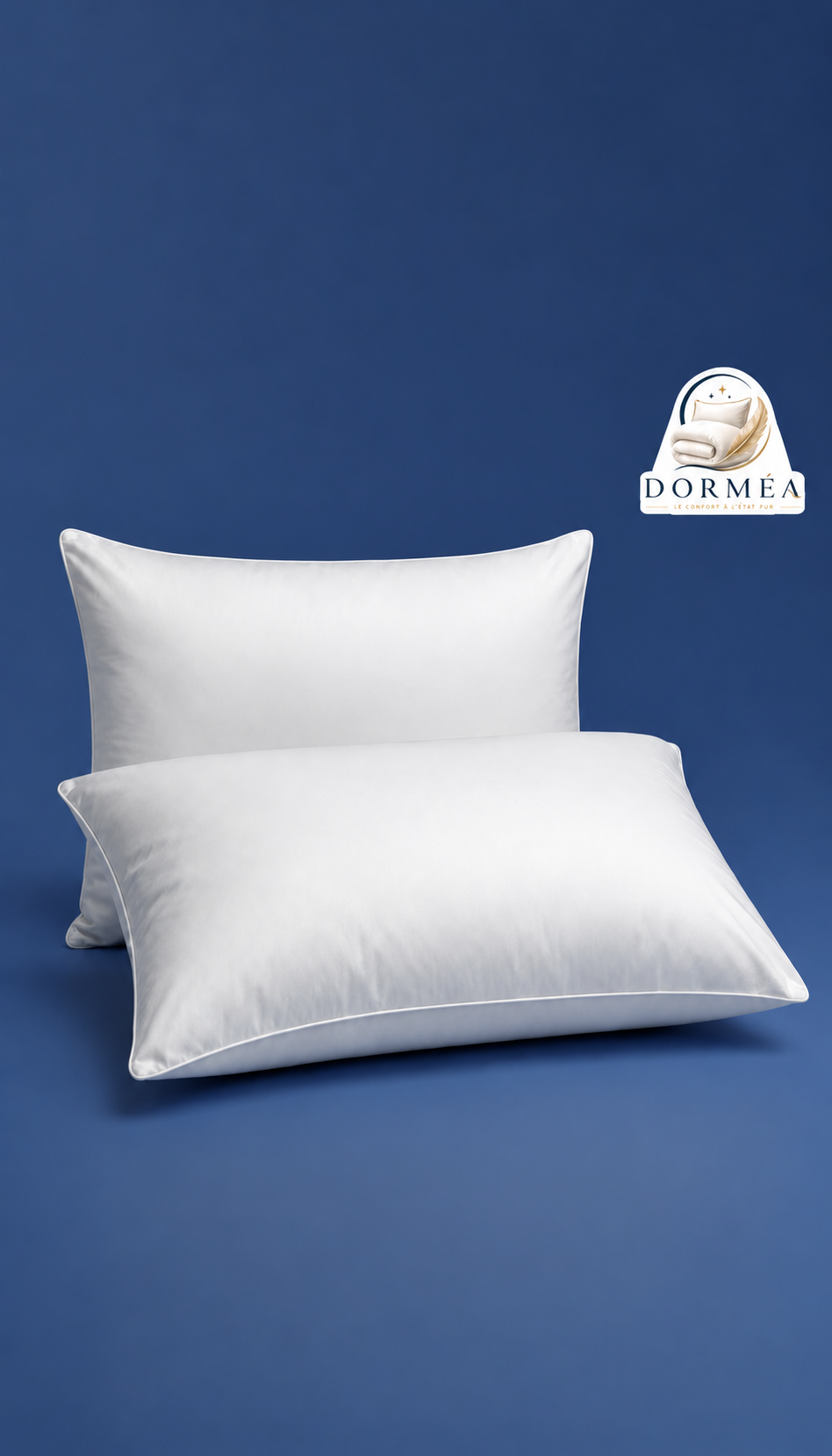 lot de 2 Oreillers 60x60